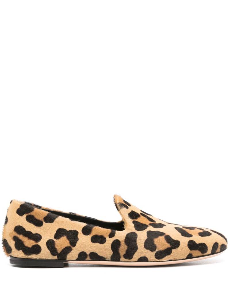 AGL leopard-print ballerina shoes - Brown von AGL