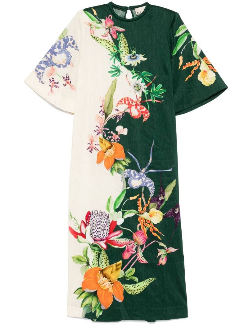 ALEMAIS floral maxi dress - Green von ALEMAIS