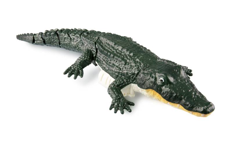 Amewi RC-Tier »Croco das kleine Krokodil 370 mm, 4-Kanal, RTR« von AMEWI