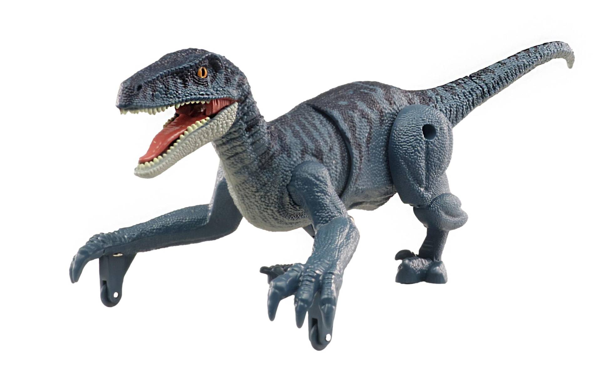 Amewi RC-Tier »Velociraptor Blaugrau, RTR« von AMEWI