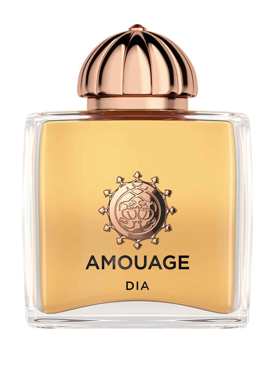 Amouage Dia Woman Eau de Parfum 100 ml von AMOUAGE