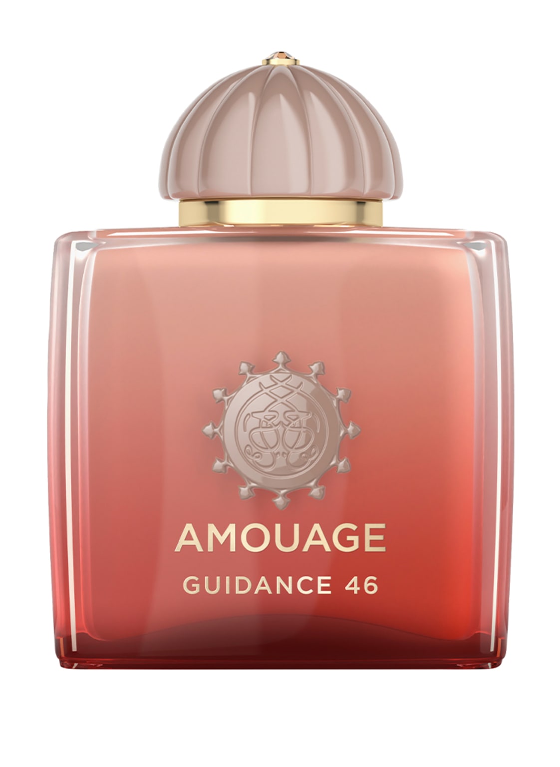 Amouage Guidance 46 Extrait de Parfum 100 ml von AMOUAGE