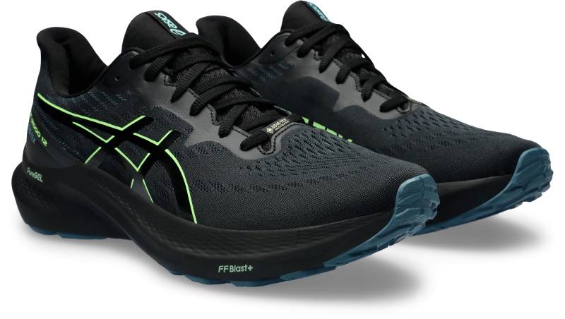 Asics Laufschuh »GT-2000 12 Gore-Tex«, für mehr Stabilität, wasserdicht von ASICS