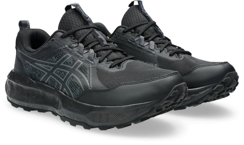 Asics Trailrunningschuh »GEL-SONOMA 8 GORE-TEX«, wasserdicht von ASICS