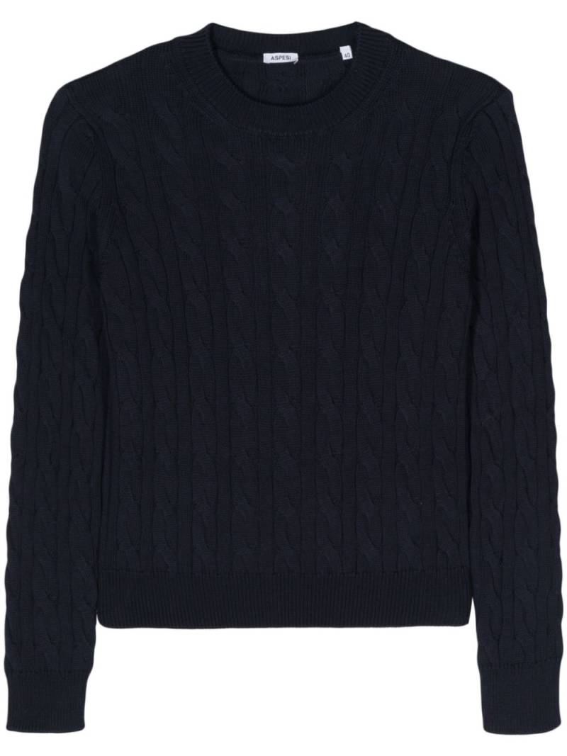 ASPESI cotton cable-knit jumper - Blue von ASPESI