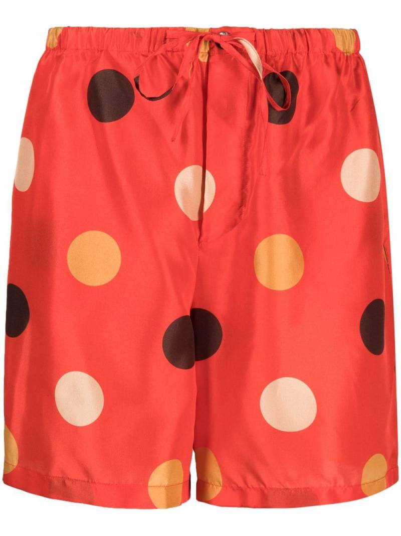 ASPESI polka-dot drawstring shorts - Red von ASPESI