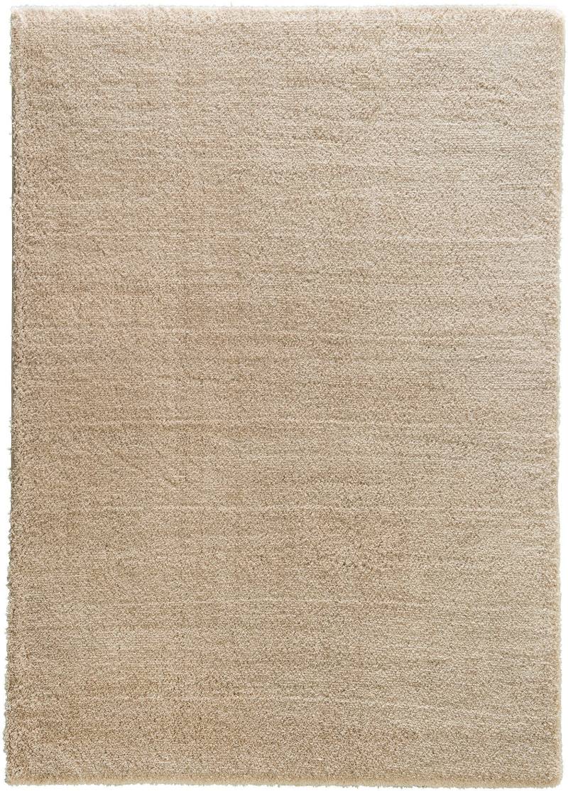 ASTRA Hochflor-Teppich »New Livorno«, rechteckig, 30 mm Höhe, Kurzflor, Wohnzimmer von ASTRA