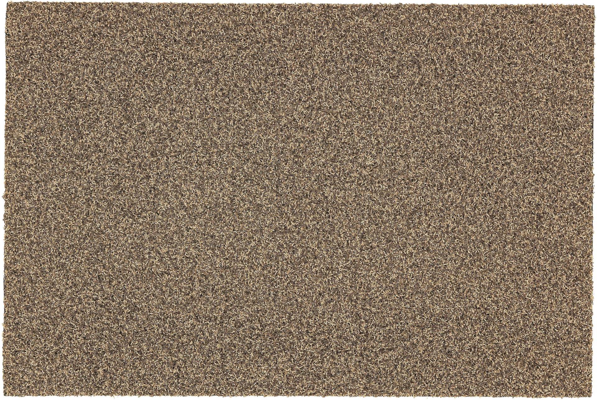ASTRA Fussmatte »Brush Line 240«, rechteckig, 11 mm Höhe, Schmutzfangmatte, In -und Outdoor geeignet ASTRA Fussmatte »Brush Line 240«, rechteckig, 11 mm Höhe, Schmutzfangmatte, In -und Outdoor geeignet von ASTRA