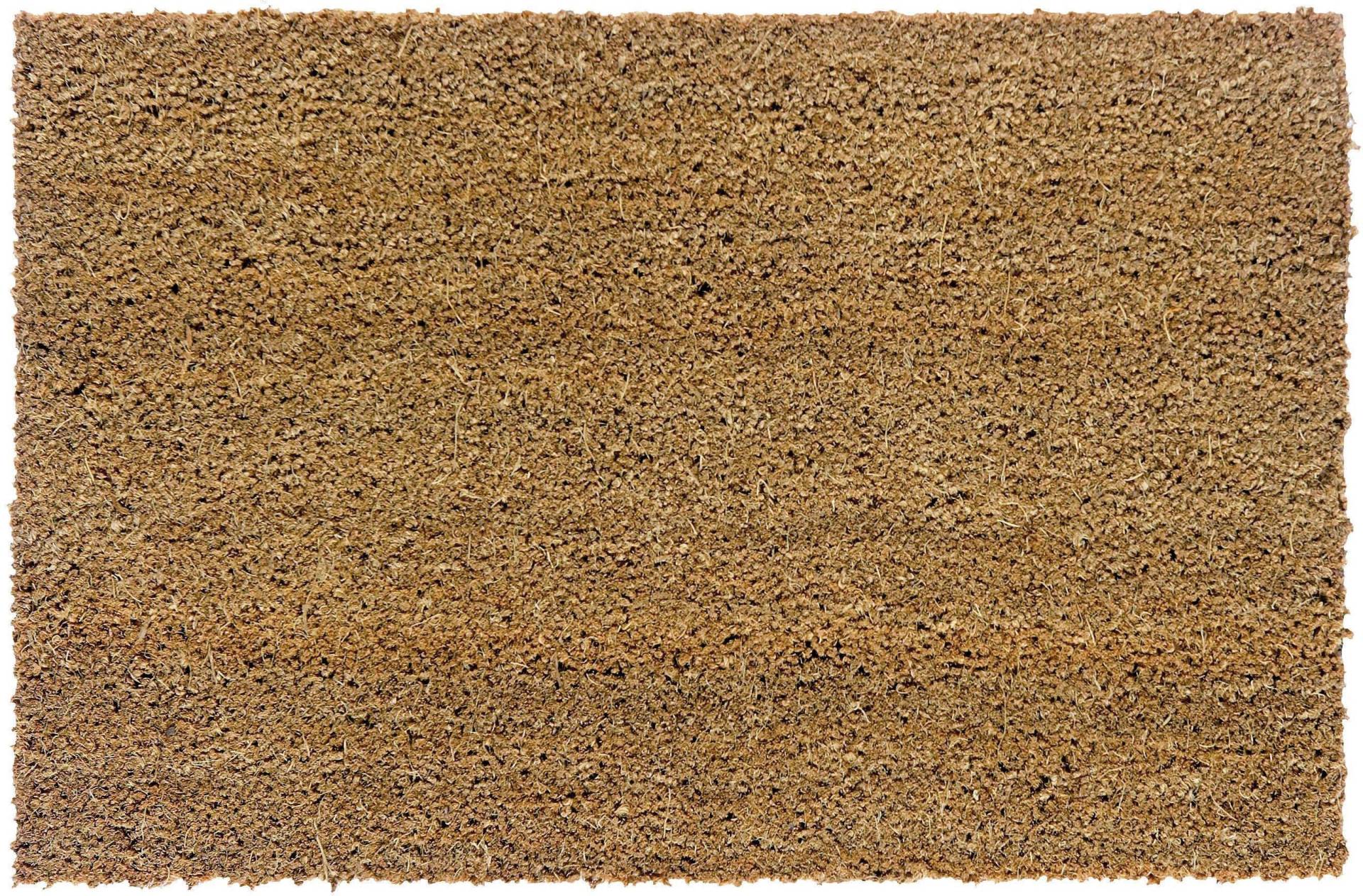 ASTRA Fussmatte »Kokosvelours 101«, rechteckig, 16 mm Höhe, Schmutzfangmatte, Kokosmatte, In -und Outdoor geeignet ASTRA Fussmatte »Kokosvelours 101«, rechteckig, 16 mm Höhe, Schmutzfangmatte, Kokosmatte, In -und Outdoor geeignet von ASTRA
