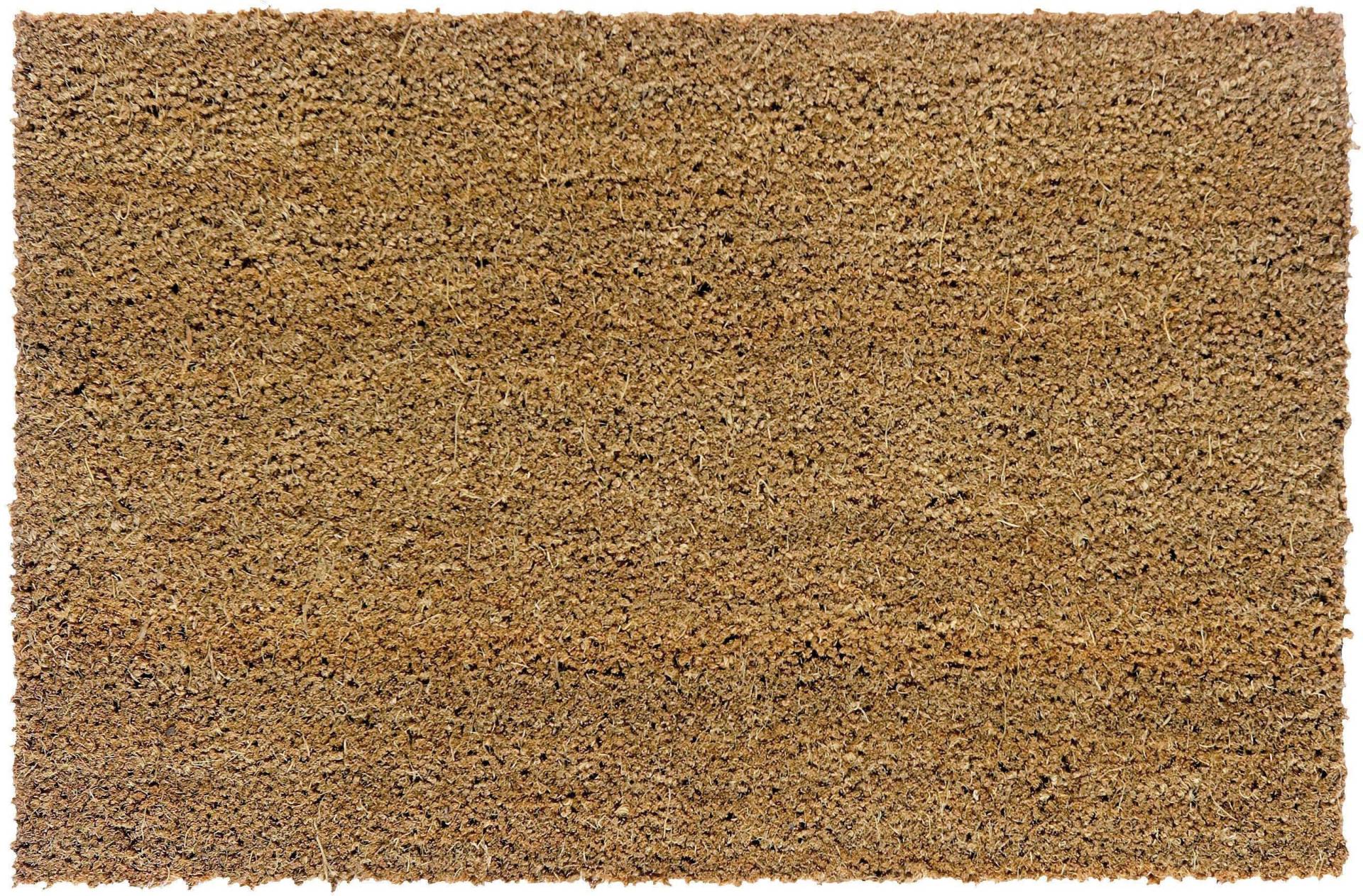 ASTRA Fussmatte »Kokosvelours 103«, rechteckig, 24 mm Höhe, Schmutzfangmatte, Kokosmatte, In -und Outdoor geeignet ASTRA Fussmatte »Kokosvelours 103«, rechteckig, 24 mm Höhe, Schmutzfangmatte, Kokosmatte, In -und Outdoor geeignet von ASTRA