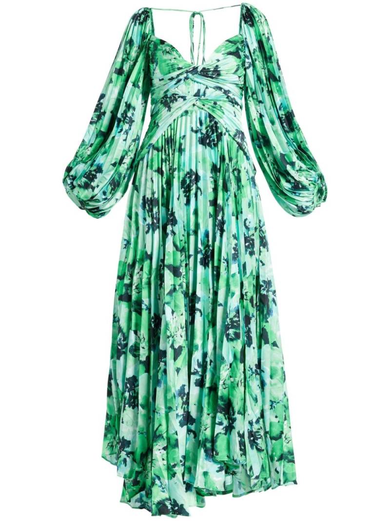 Acler Larimer dress - Green von Acler