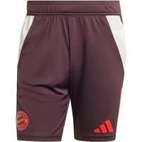 ADIDAS Herren Fußballshort Training FC Bayern rot | M von Adidas