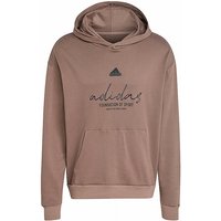 ADIDAS Herren Hoodie BL braun | L von Adidas