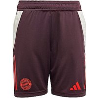 ADIDAS Kinder Fußballshort Training FC Bayern rot | 176 ADIDAS Kinder Fußballshort Training FC Bayern rot | 176 von Adidas
