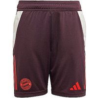 ADIDAS Kinder Fußballshort Training FC Bayern rot | 176 von Adidas