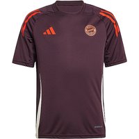 ADIDAS Kinder Fußballtrikot Training FC Bayern  rot | 176 von Adidas