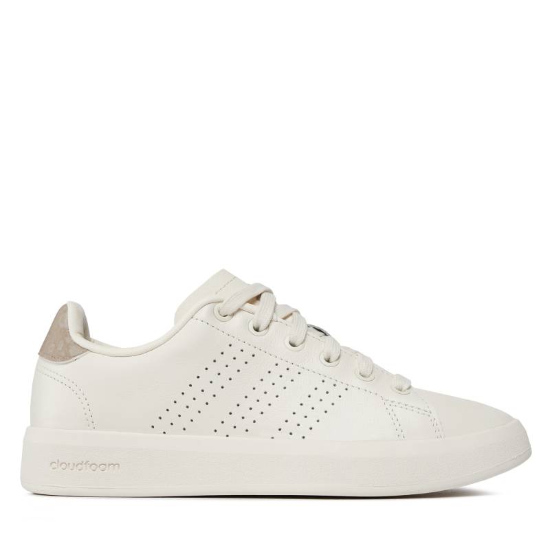 Sneakers adidas IF0127 Beige von Adidas