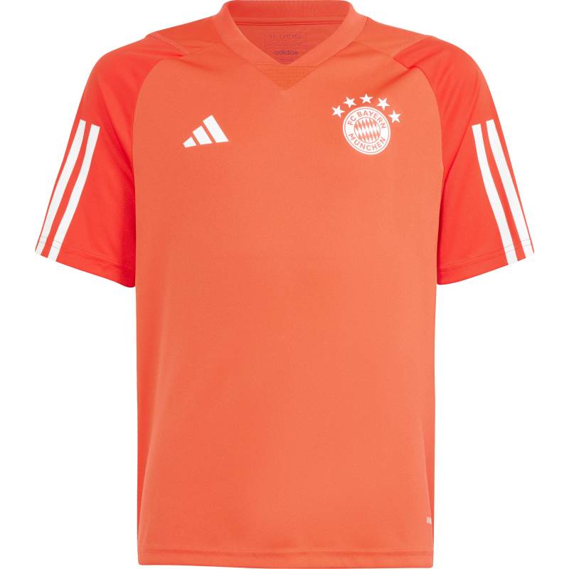 adidas FC Bayern München Funktionsshirt Kinder von Adidas