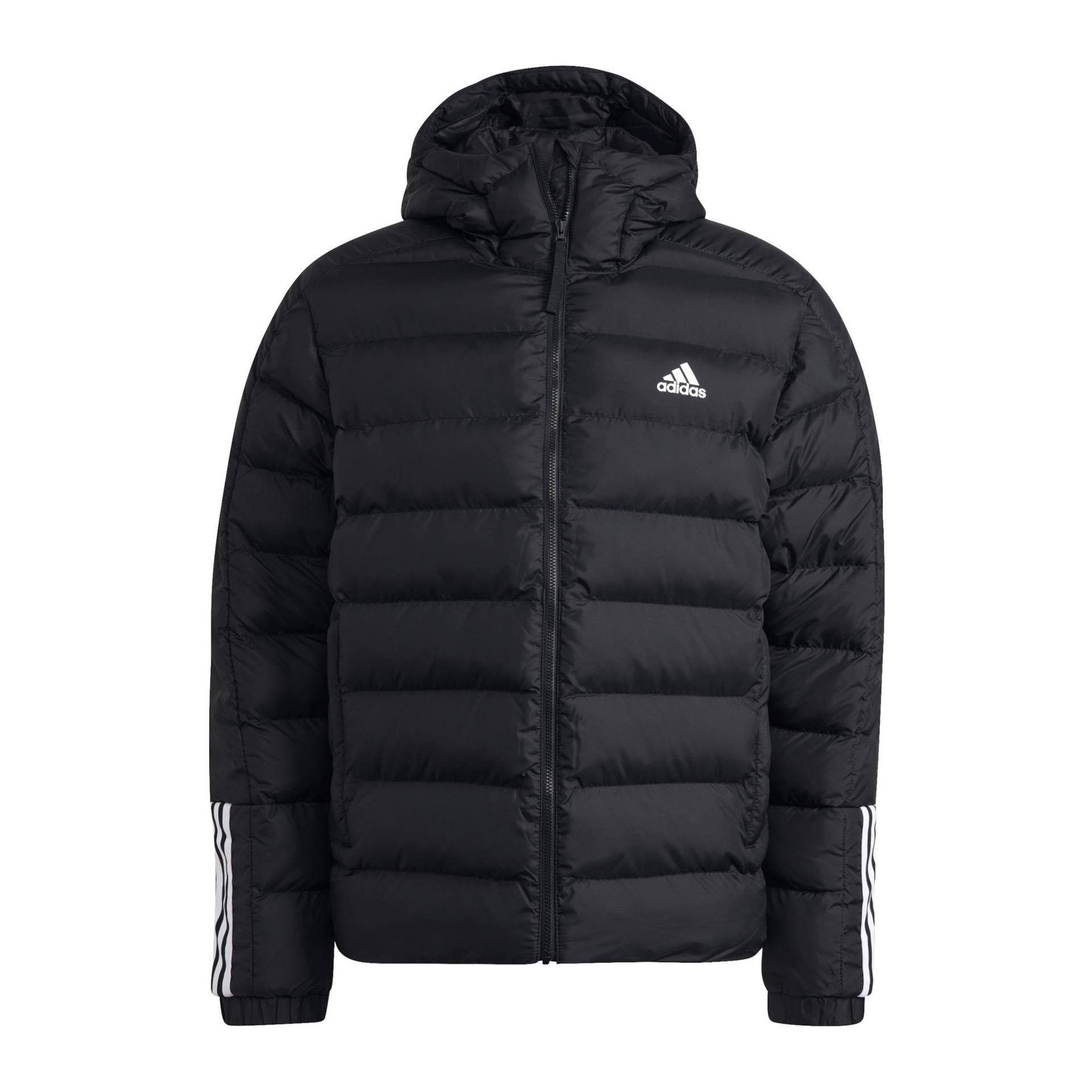 adidas Itavic Steppjacke Herren von Adidas