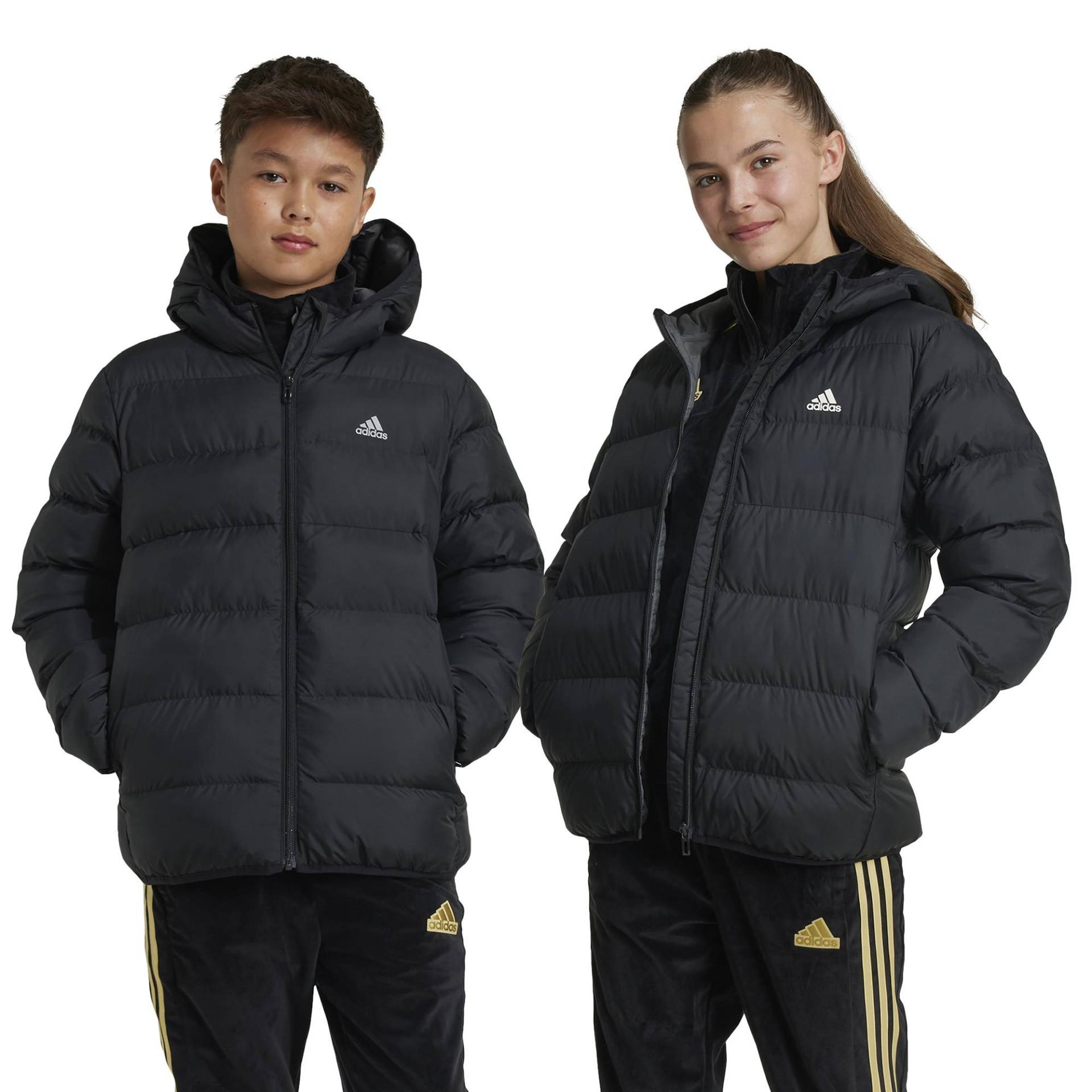 adidas Jacke Mit Kapuze Jungen Black 152 von Adidas