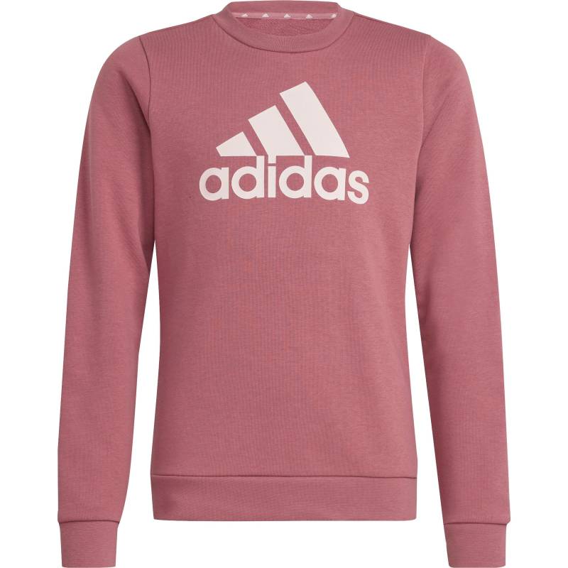 adidas Sweatshirt Mädchen von Adidas