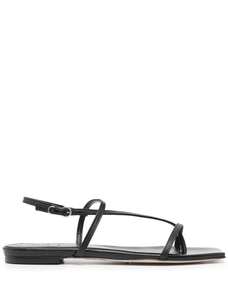 Aeyde Ella leather strap sandals - Black von Aeyde