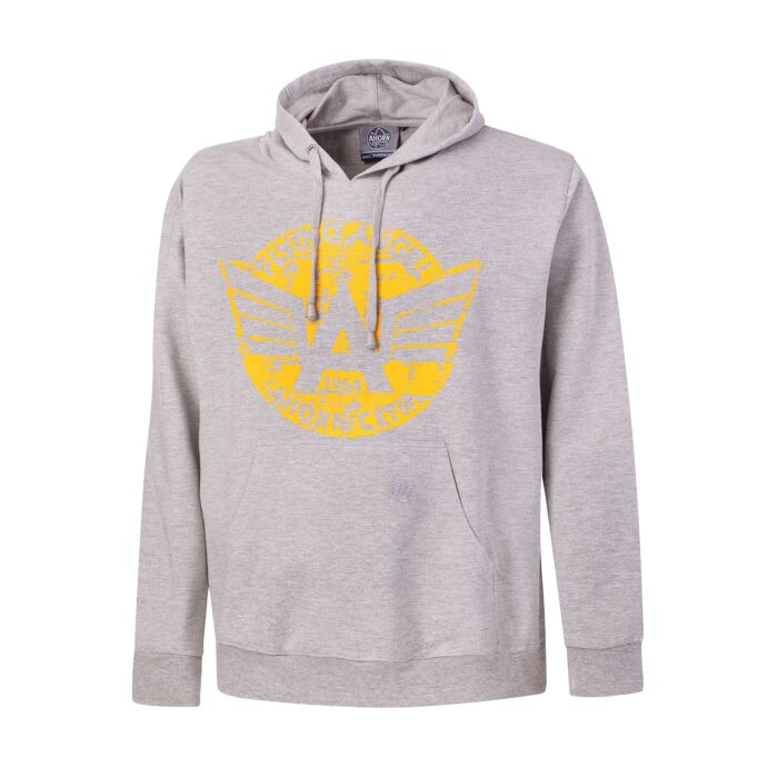 Ahorn Hoodie mit Print, grau, 4XL von Jack Wolfskin