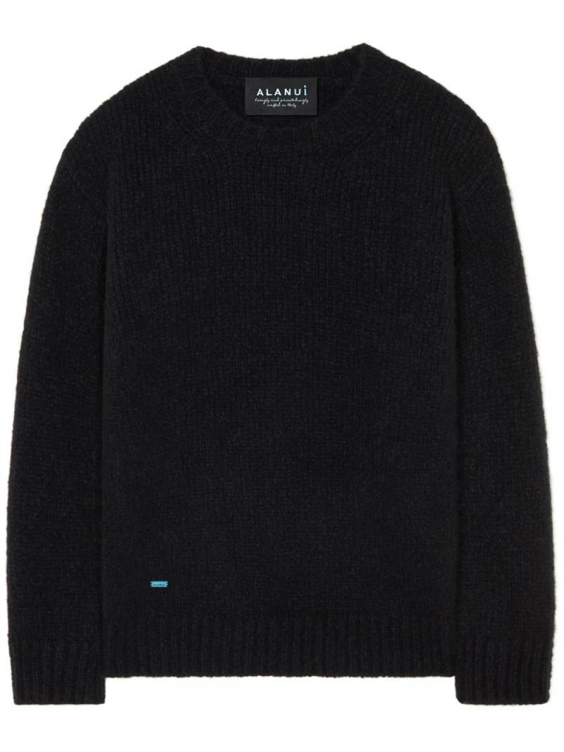 Alanui Finest jumper - Black von Alanui