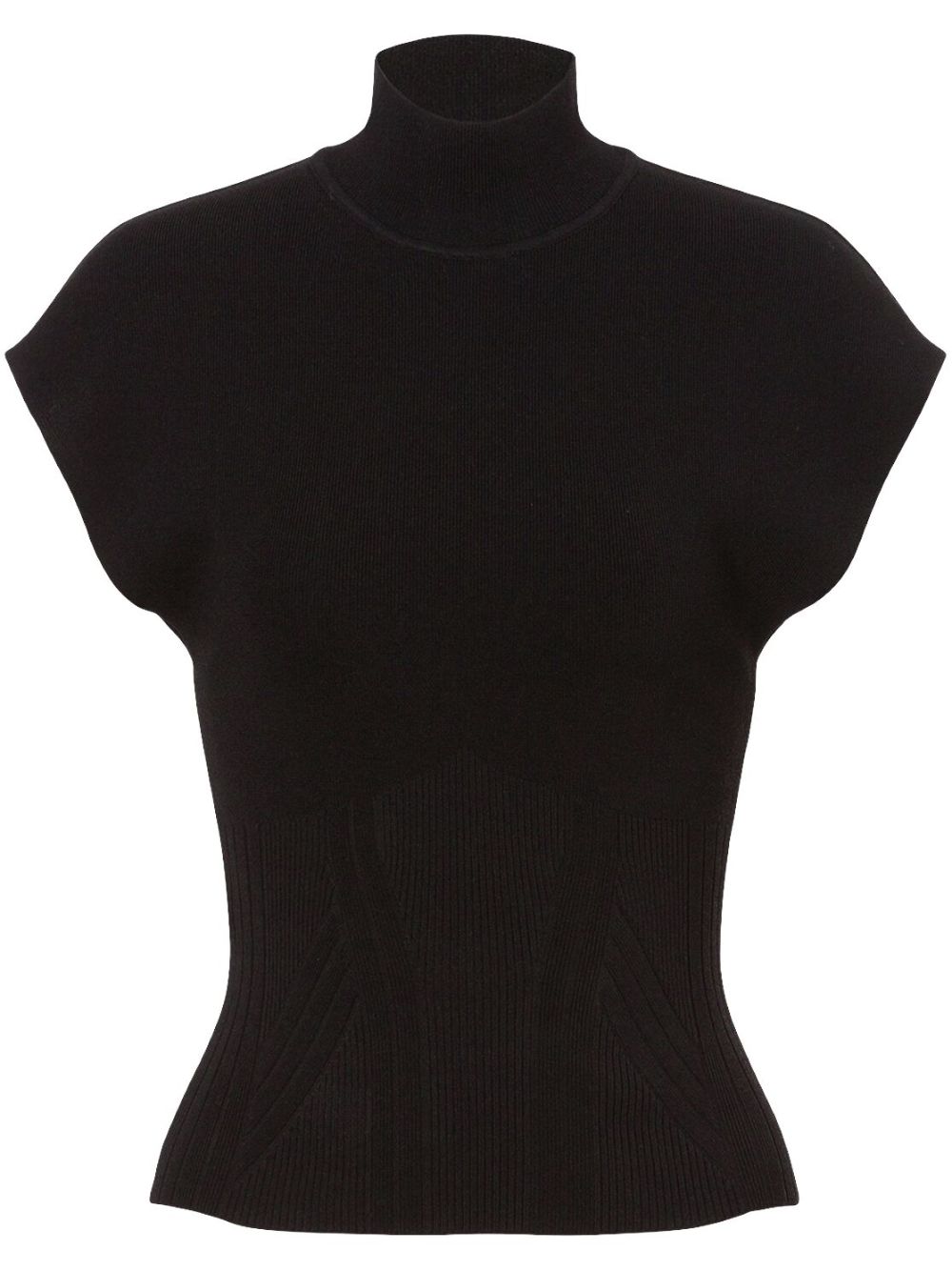 Alberta Ferretti ribbed-knit turtleneck top - Black von Alberta Ferretti