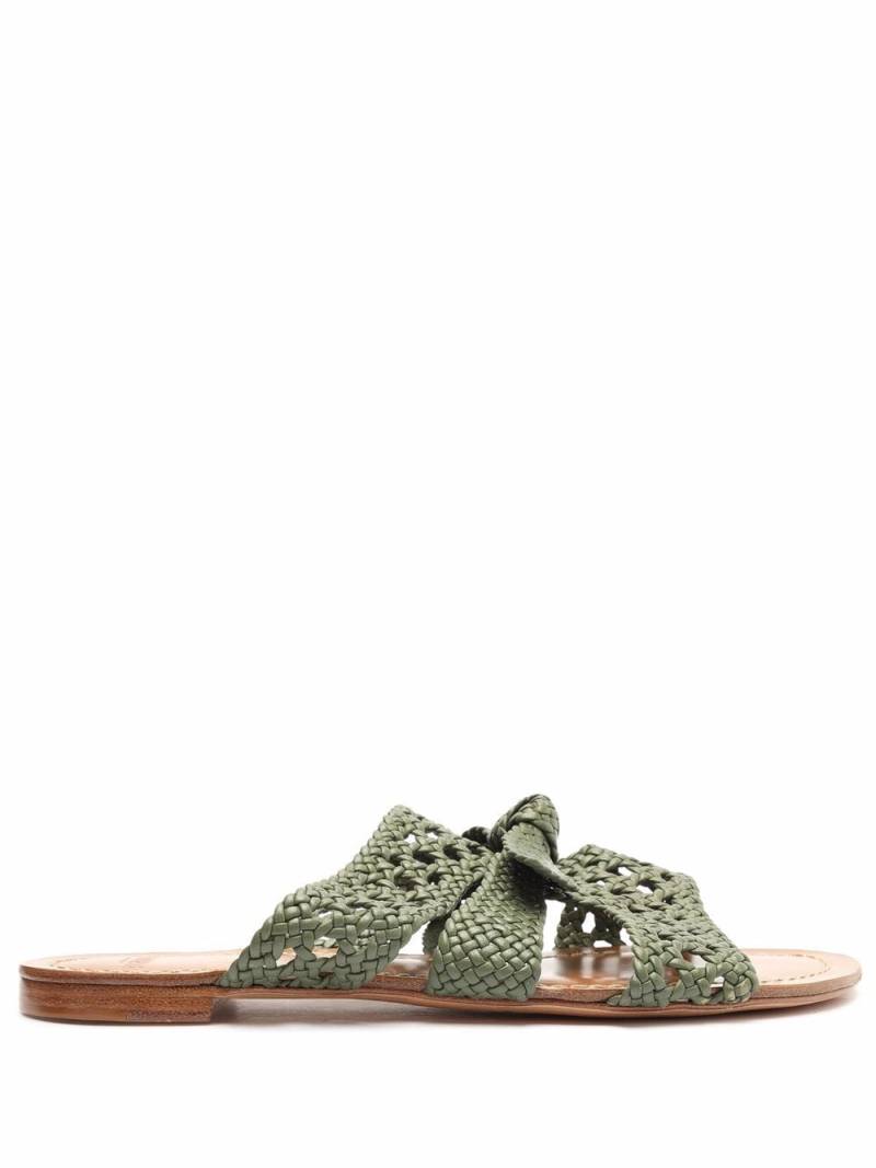 Alexandre Birman Clarita braided flat mules - Green von Alexandre Birman