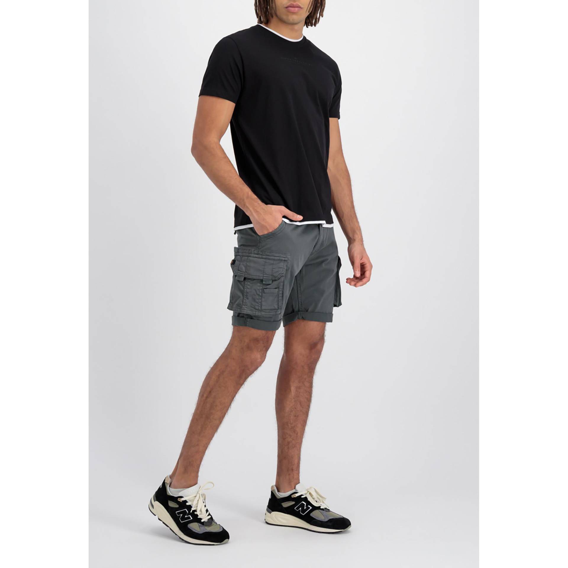 Shorts, Regular Fit Herren Grau 29 von Alpha Industries