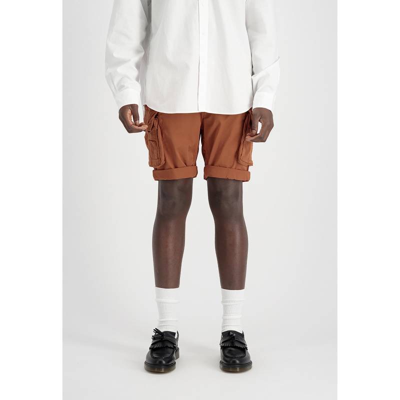 Shorts, Regular Fit Herren Light Beige 29 von Alpha Industries