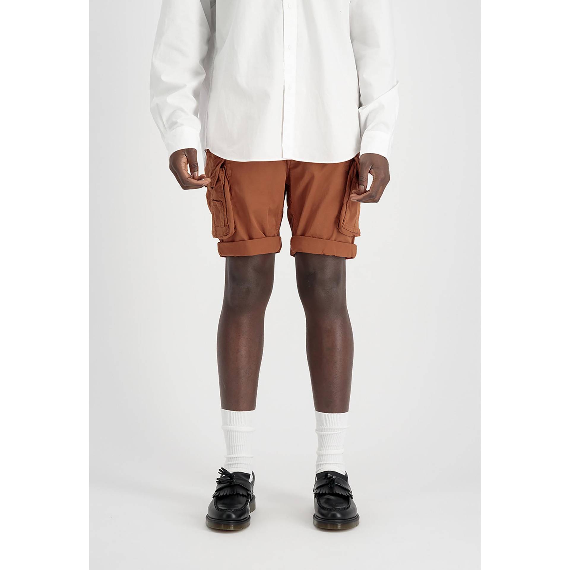 Shorts, Regular Fit Herren Light Beige 30 von Alpha Industries