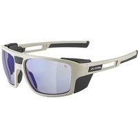 ALPINA Damen Bergbrille Skywalsh V grau von Alpina