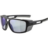 ALPINA Herren Bergbrille Skywalsh schwarz von Alpina