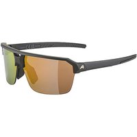 ALPINA Herren Radbrille Swift HR schwarz von Alpina