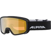 ALPINA Skibrille Scarabeo S Q-Lite schwarz von Alpina