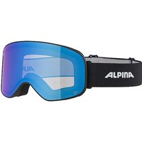 ALPINA Skibrille Slope Q-Lite schwarz von Alpina