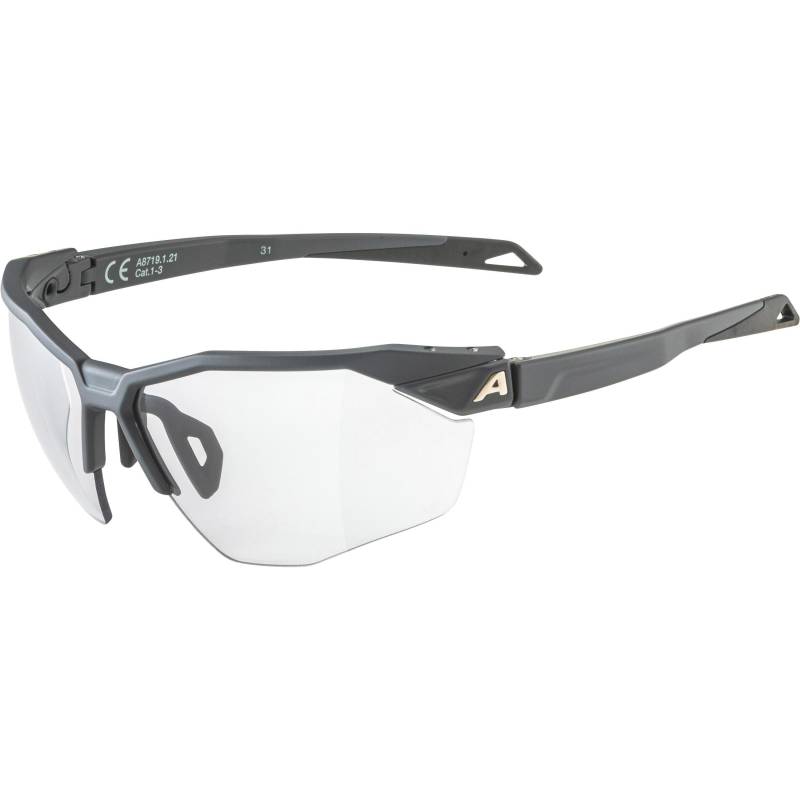 ALPINA TWIST SIX HR V Brille von Alpina