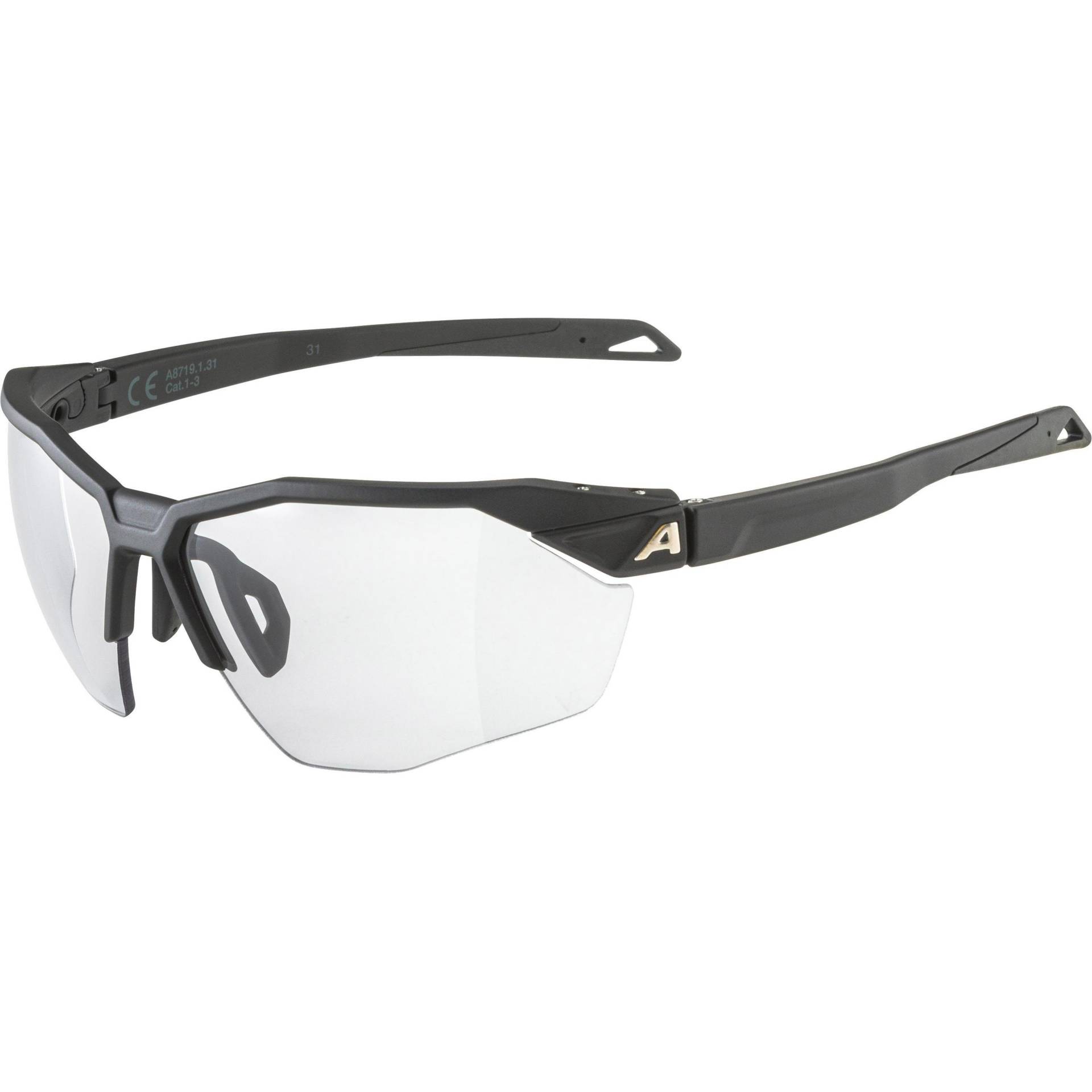 ALPINA TWIST SIX HR V Brille von Alpina