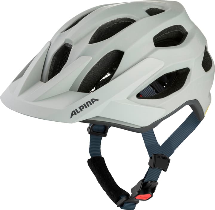 Alpina Apax Mips Velohelm hellgrau von Alpina