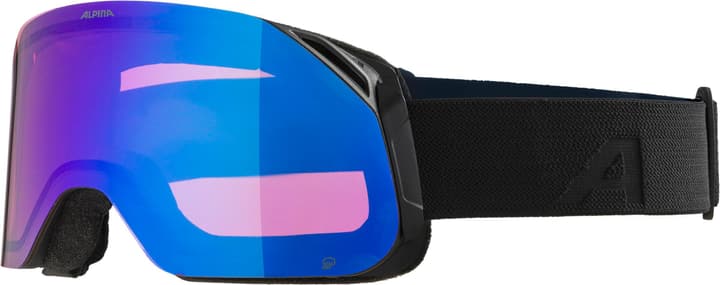 Alpina Blackcomb Q Skibrille schwarz von Alpina