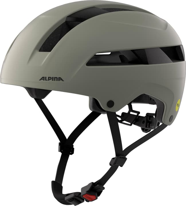 Alpina Bloom Mips Velohelm grau von Alpina