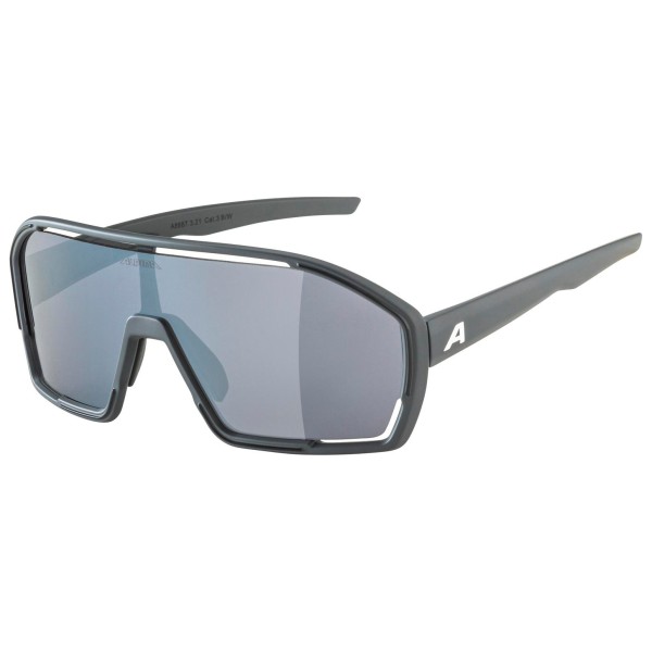 Alpina - Bonfire Cat. 3 - Velobrille grau von Alpina