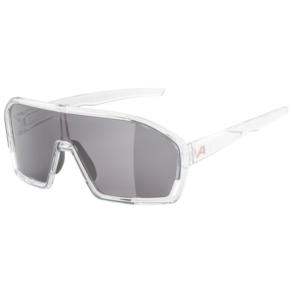 Alpina - Bonfire Cat. 3 - Velobrille grau von Alpina