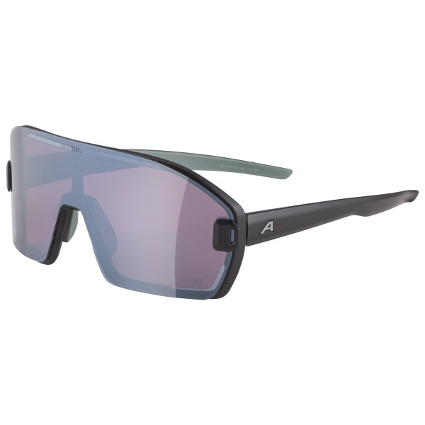 Alpina - Bonfire Mag Q S1 + S3 - Sonnenbrille grau von Alpina