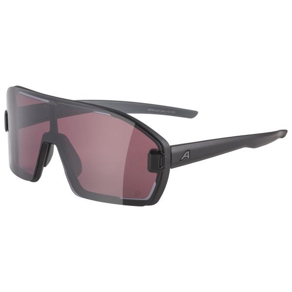 Alpina - Bonfire Mag Q S1 + S3 - Sonnenbrille grau von Alpina