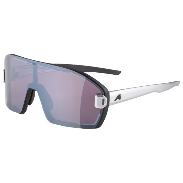 Alpina - Bonfire Mag Q S1 + S3 - Sonnenbrille grau von Alpina