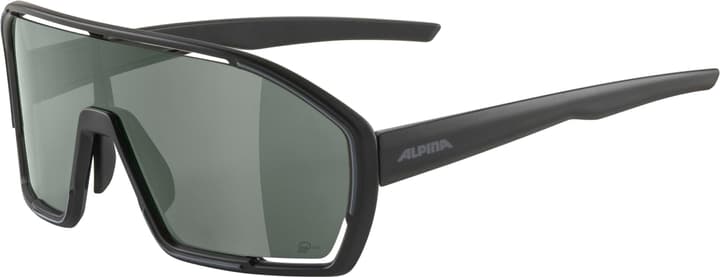 Alpina Bonfire Q-Lite Sportbrille schwarz von Alpina