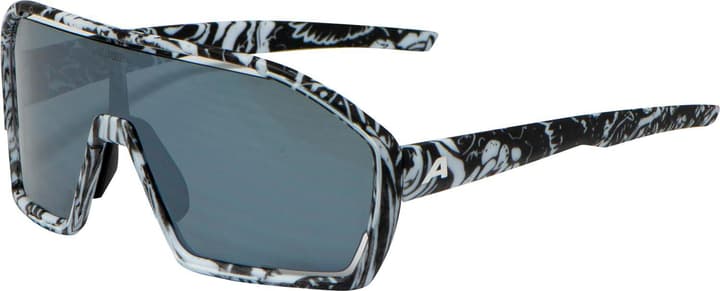 Alpina Bonfire Sportbrille kohle von Alpina